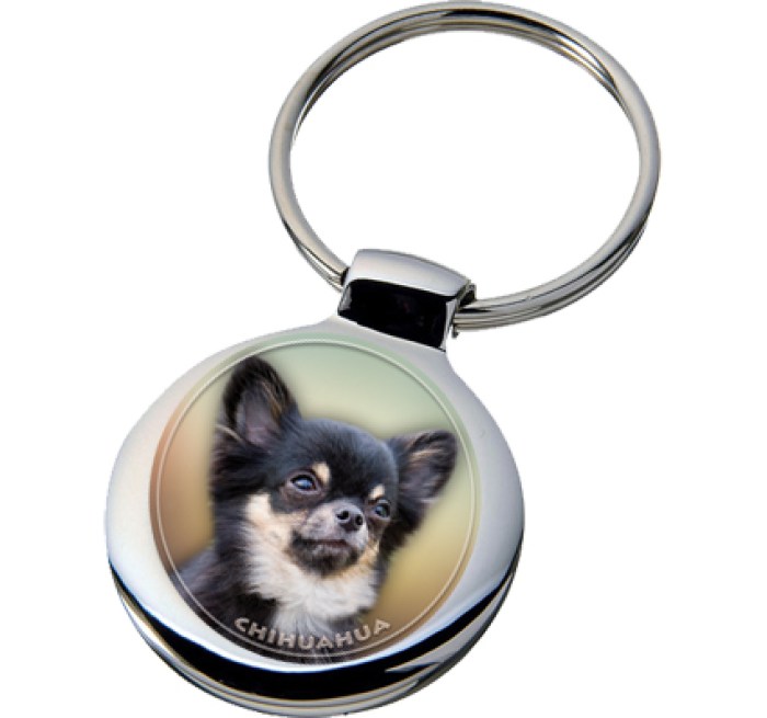 chihuahua_218-704 